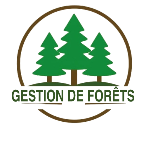 Gestion de Forêt